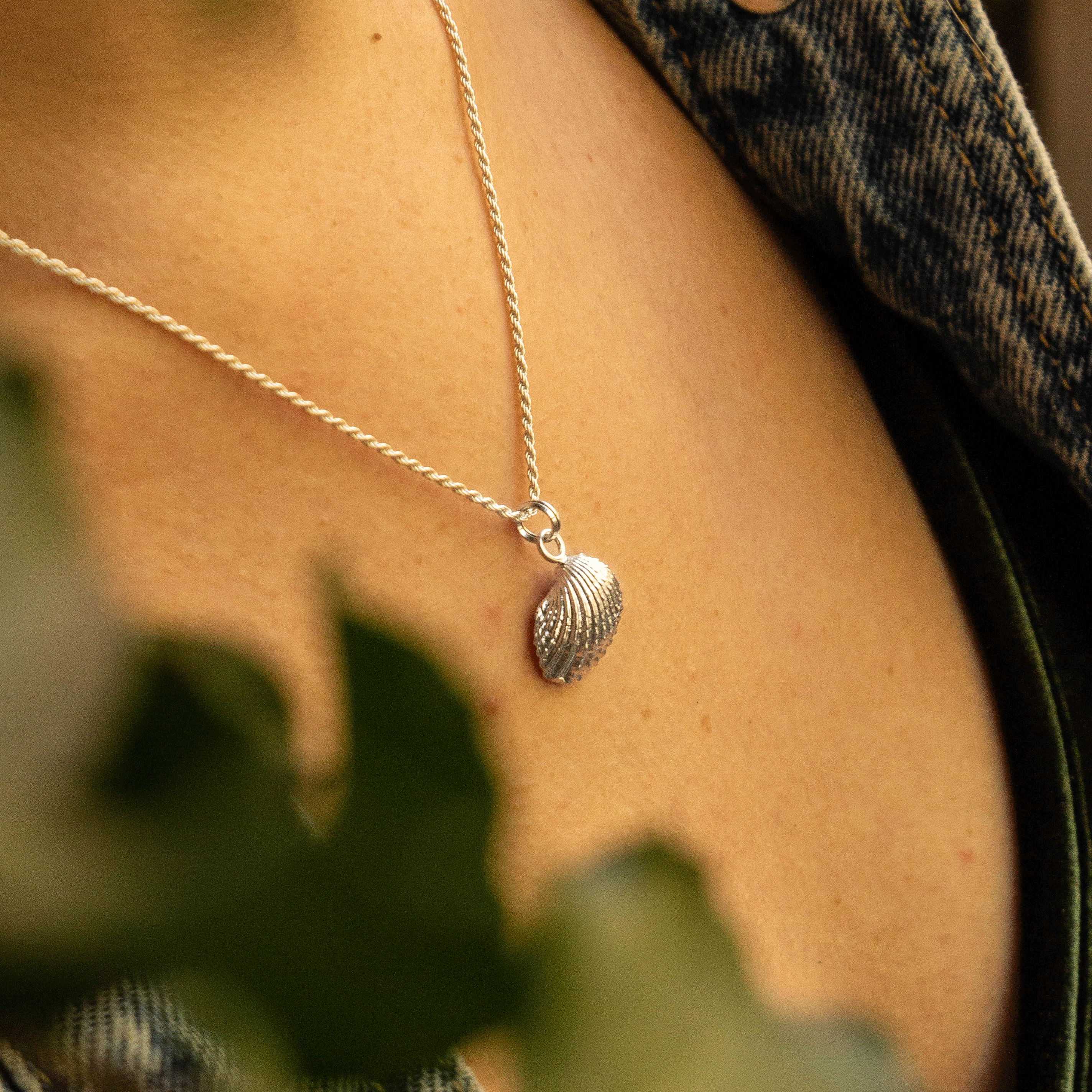Pack Conchitas plata