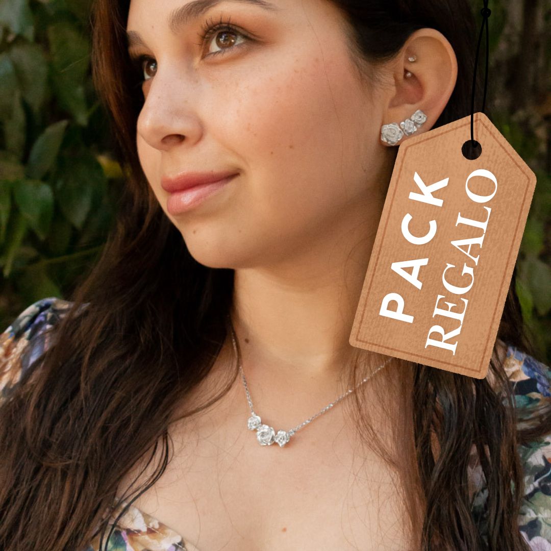 Pack full Rosas plata