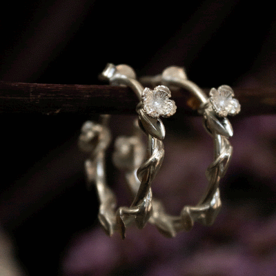 Argollas Jardín Secreto Plata