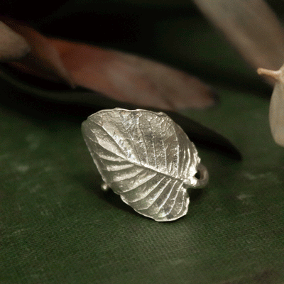 Anillo hoja de Ulmo