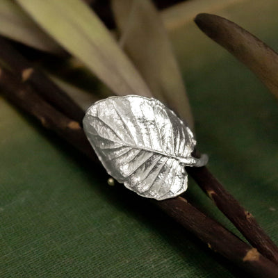 Anillo hoja de Ulmo