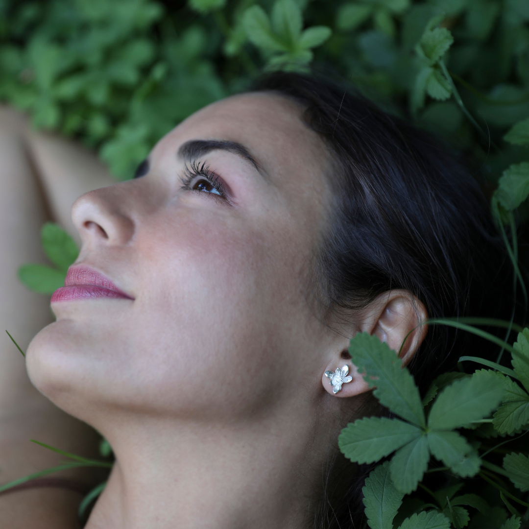 Aros Suculenta mediana Plata